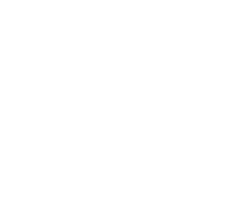 vedest sternregister logo